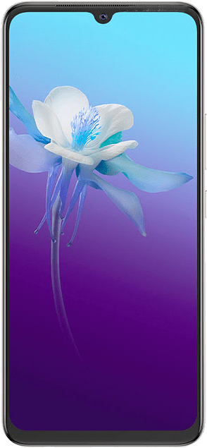 vivo V20 2021