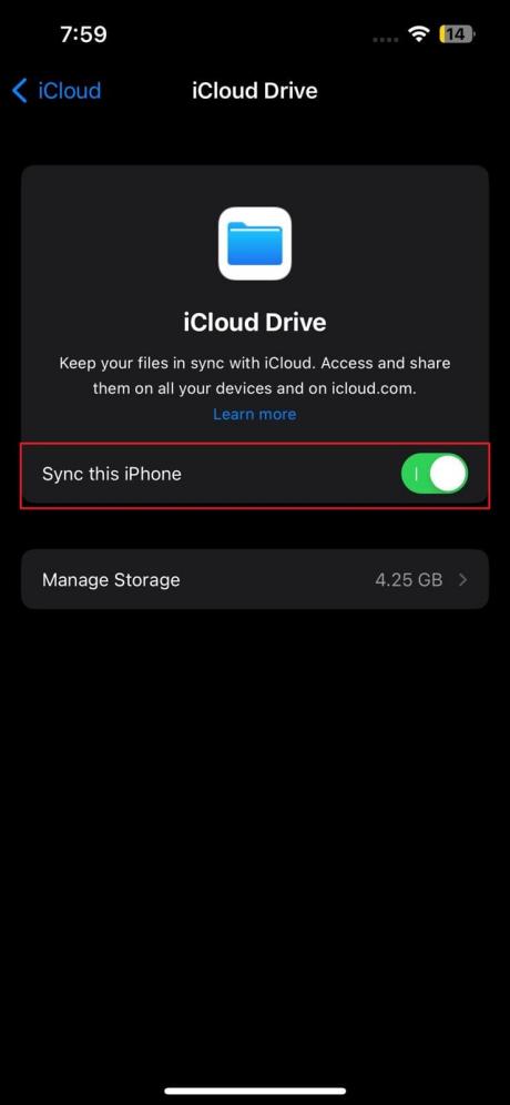 enable icloud drive