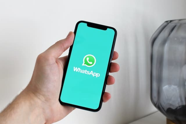 whatsapp for business
