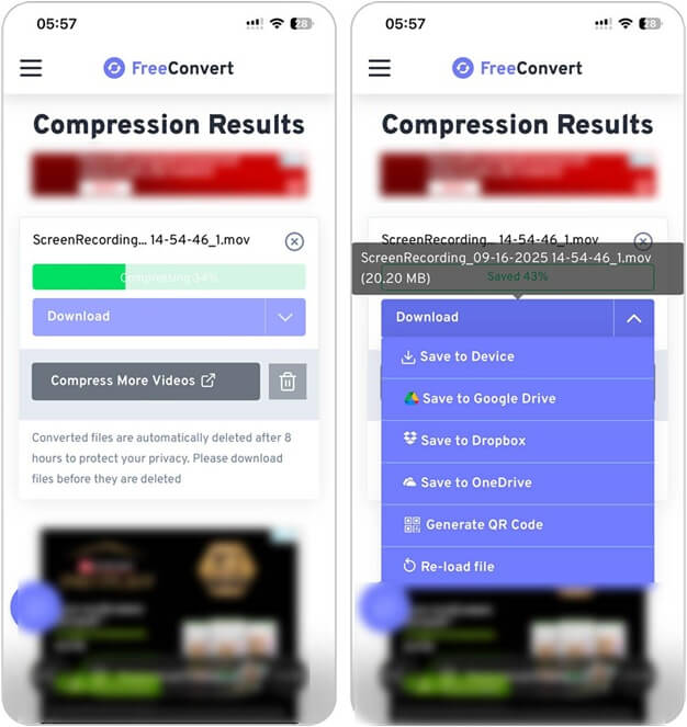 Free Convert: Results