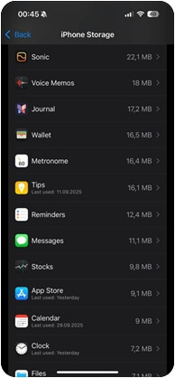 iPhone Application Storage
